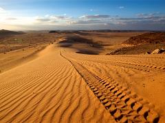 jordan 085 : off roading, portfolio