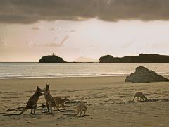 animals2014 045  animals : iPhoto Original