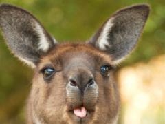 animals2014 046  animals : iPhoto Original