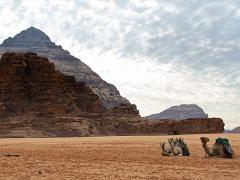 animals2014 061  jordan new year 2012 : iPhoto Original