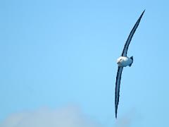 acs 003 : Antarctica