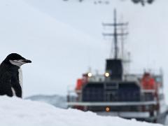 acs 014 : Antarctica