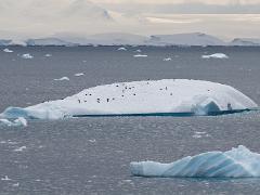 acs 024 : Antarctica