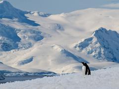 acs 036 : Antarctica