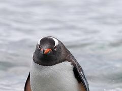 acs 038 : Antarctica