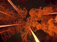 landscapes2014 030  landscapes : iPhoto Original