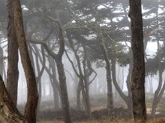 landscapes2014 031  landscapes : iPhoto Original