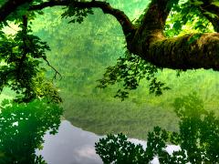 landscapes2014 032  montenegro : iPhoto Original