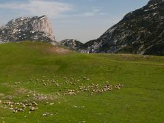 landscapes2014 033  landscapes : iPhoto Original