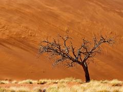 landscapes2014 066  A