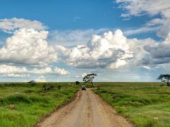 landscapes2014 067 : iPhoto Original, tanzania, Travel