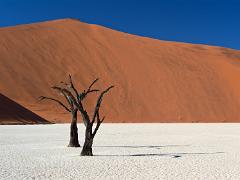 namibia2014deadvlei 001 : portfolio