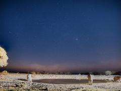 nmb 2013 008 : tonemapped