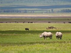 tanzania 003 : Tanzania