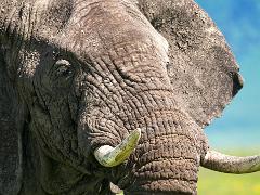 tanzania 004 : Tanzania