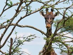 tanzania 016 : Tanzania