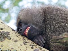 tanzania 023 : Tanzania