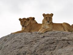 tanzania 029 : Tanzania