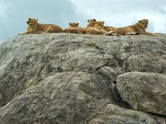 tanzania 030 : Tanzania