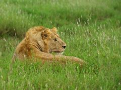 tanzania 031 : Tanzania