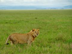 tanzania 032 : Tanzania