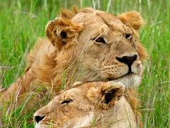 tanzania 033 : Tanzania