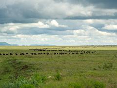 tanzania 036  A : Tanzania