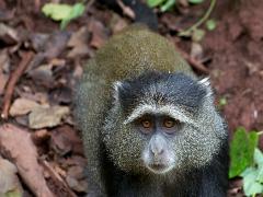 tanzania 044 : Tanzania