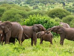 tanzania 047 : Tanzania