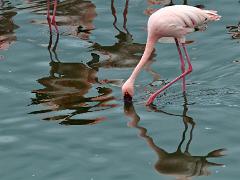 tanzania 051 : Tanzania