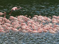 tanzania 052 : Tanzania